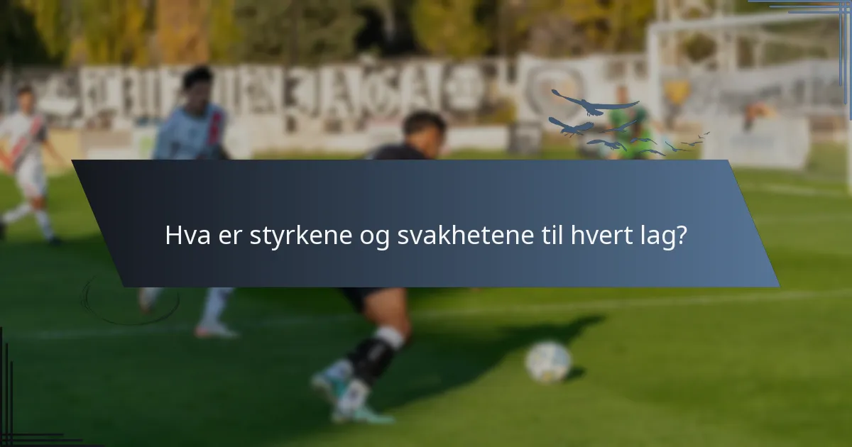 Hva er styrkene og svakhetene til hvert lag?